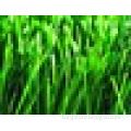 green synthetic grass